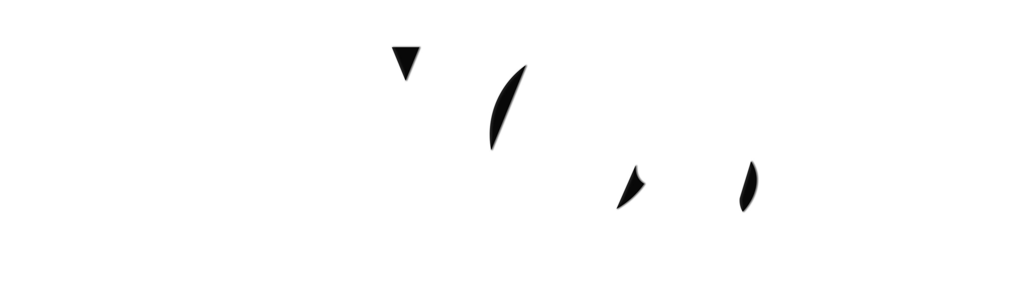 CS